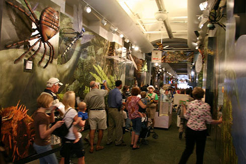 Audubon Insectarium Grand Opening by Karen Carr