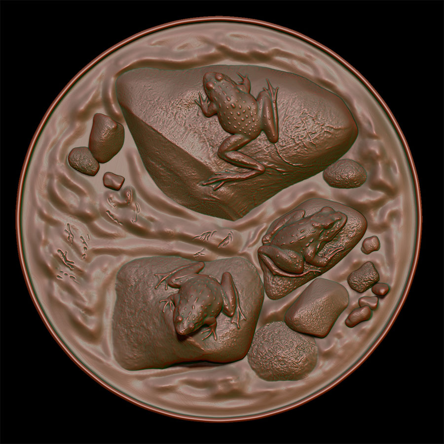 Interpretive Insights Bronze Medallions: Frogs by Karen Carr