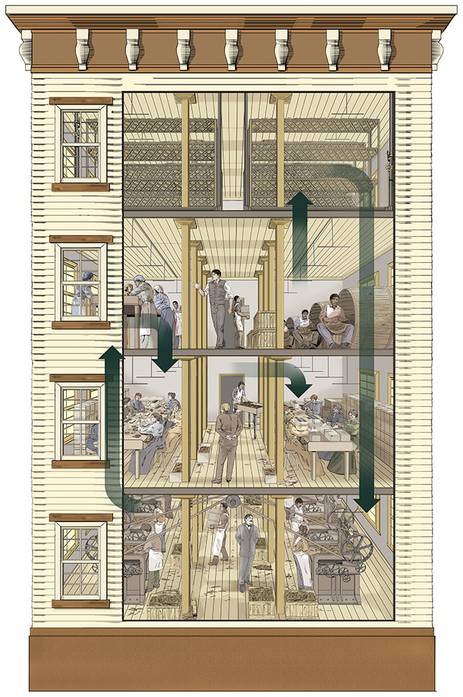 Tobacco factory cut-away by Karen Carr