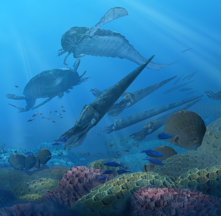 DPA Silurian Marine Environment by Karen Carr